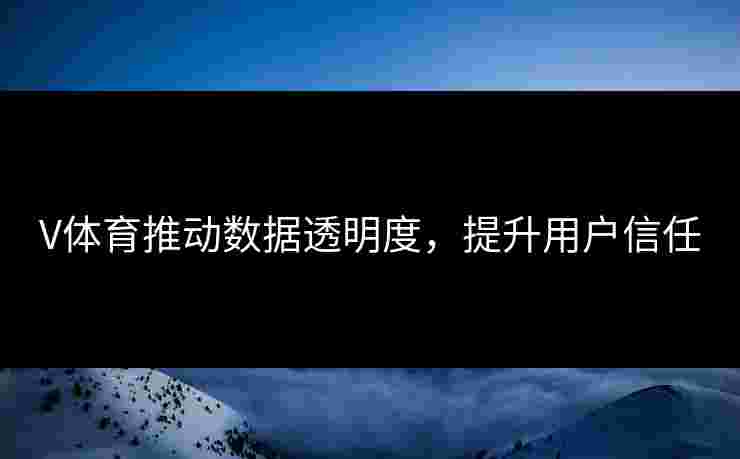V体育推动数据透明度，提升用户信任