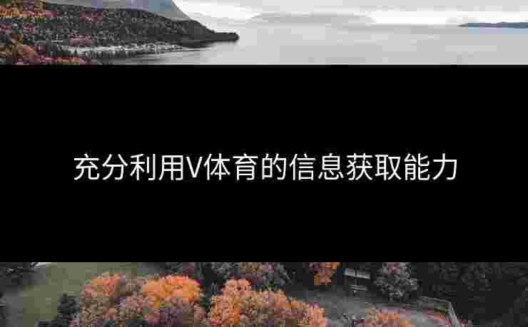 充分利用V体育的信息获取能力