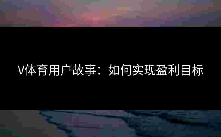 V体育用户故事：如何实现盈利目标